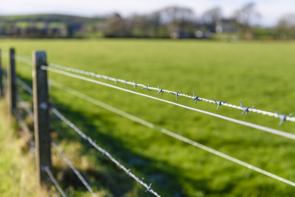 Livestock Fencing